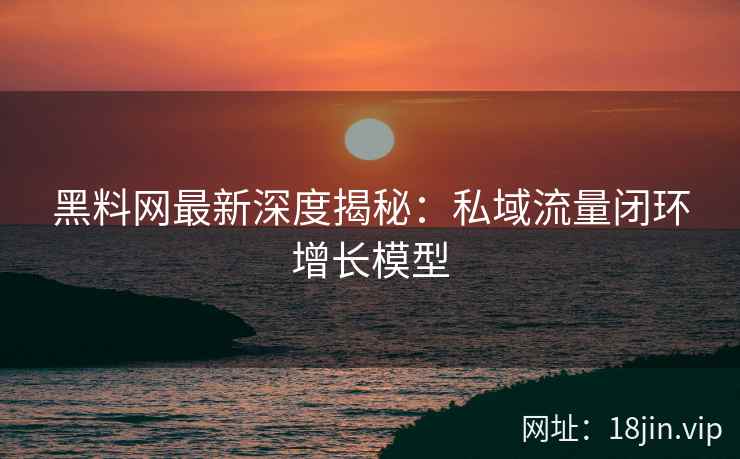 黑料网最新深度揭秘：私域流量闭环增长模型