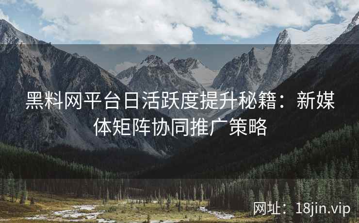 黑料网平台日活跃度提升秘籍：新媒体矩阵协同推广策略