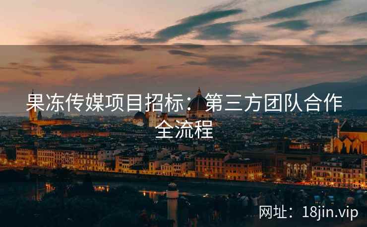 果冻传媒项目招标：第三方团队合作全流程