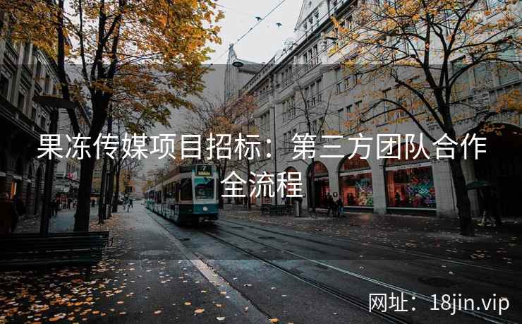 果冻传媒项目招标：第三方团队合作全流程