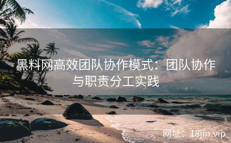 黑料网高效团队协作模式：团队协作与职责分工实践