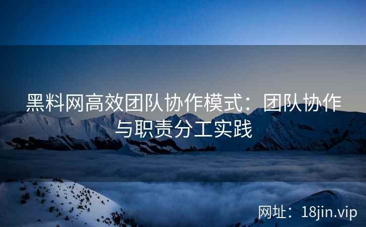 黑料网高效团队协作模式：团队协作与职责分工实践