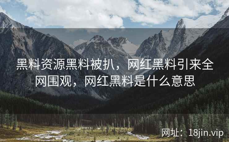 黑料资源黑料被扒，网红黑料引来全网围观，网红黑料是什么意思