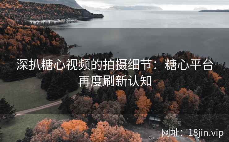 深扒糖心视频的拍摄细节：糖心平台再度刷新认知