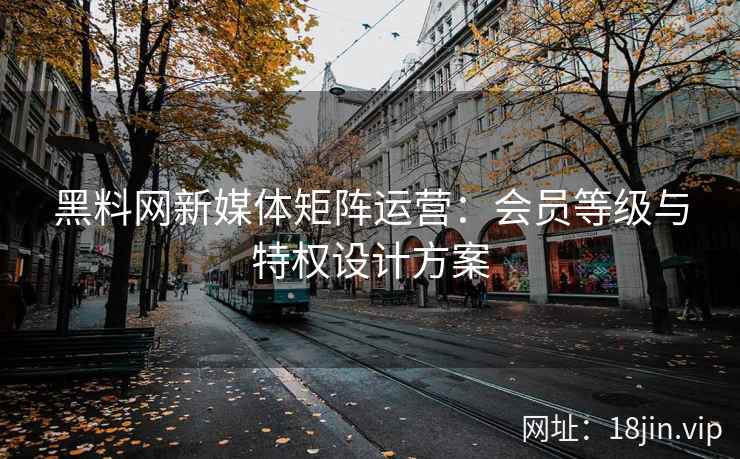 黑料网新媒体矩阵运营：会员等级与特权设计方案