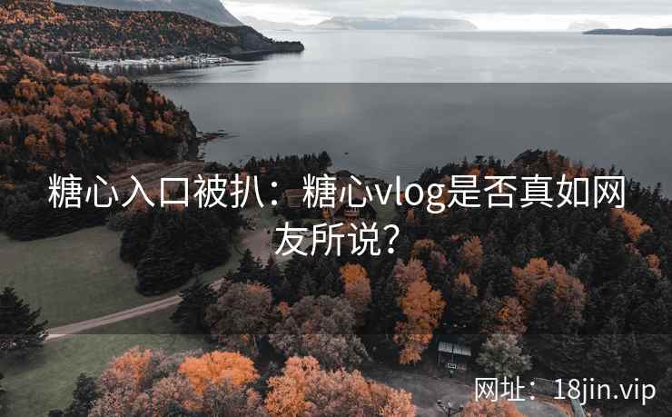 糖心入口被扒：糖心vlog是否真如网友所说？