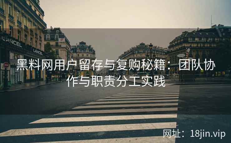 黑料网用户留存与复购秘籍：团队协作与职责分工实践