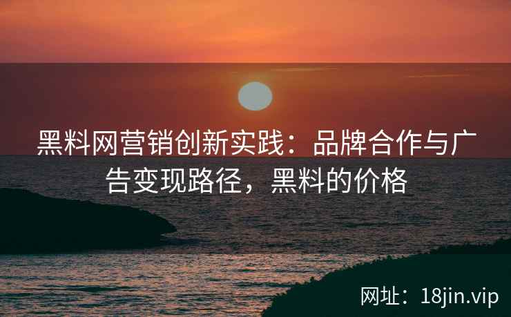 黑料网营销创新实践：品牌合作与广告变现路径，黑料的价格