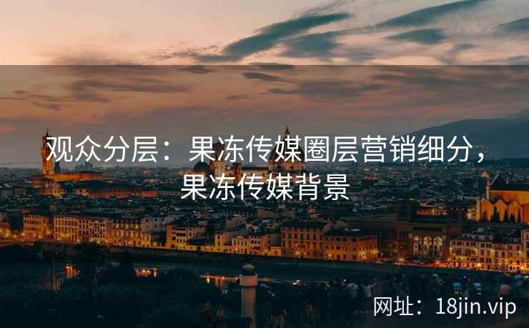观众分层：果冻传媒圈层营销细分，果冻传媒背景
