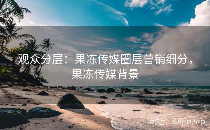 观众分层：果冻传媒圈层营销细分，果冻传媒背景