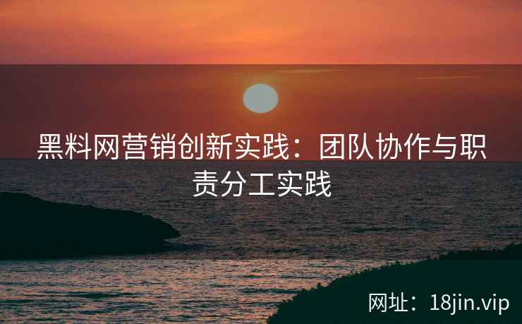 黑料网营销创新实践：团队协作与职责分工实践