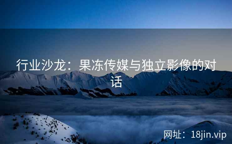 行业沙龙：果冻传媒与独立影像的对话