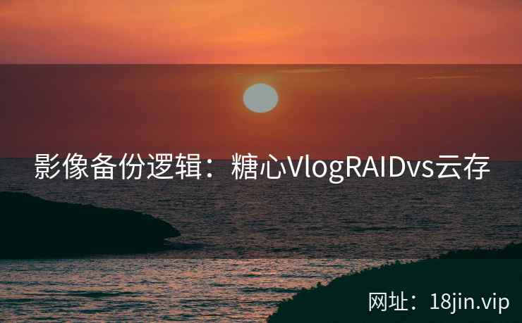 影像备份逻辑：糖心VlogRAIDvs云存