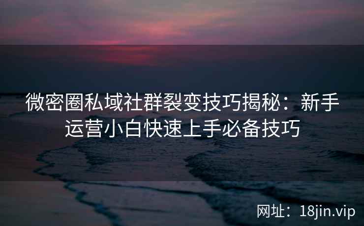 微密圈私域社群裂变技巧揭秘：新手运营小白快速上手必备技巧