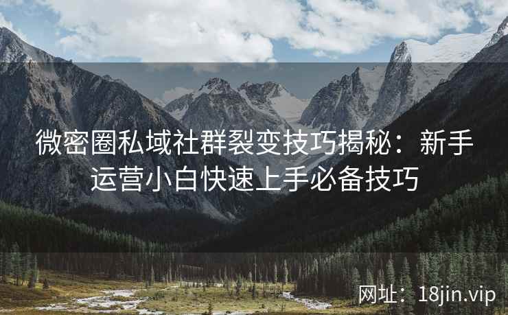 微密圈私域社群裂变技巧揭秘：新手运营小白快速上手必备技巧